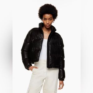 Aritzia Wilfred Free Vista Puffer